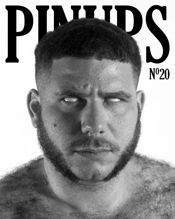 Pinups20-cover_GAYLETTER